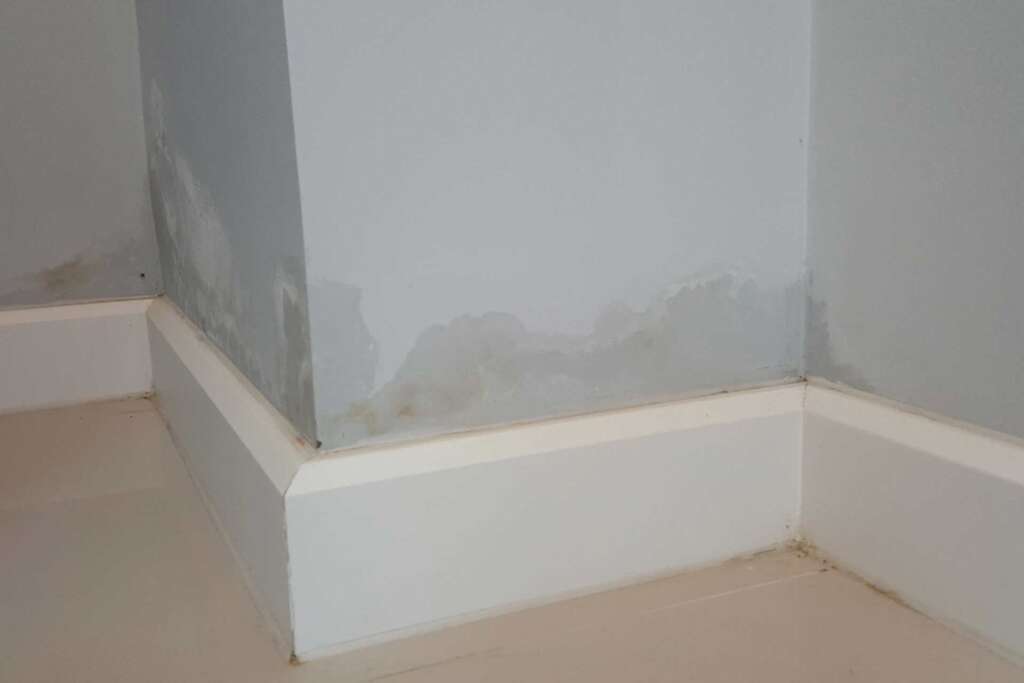 House damp