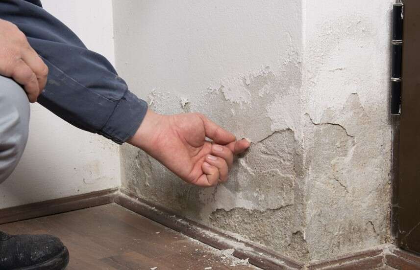 Checking damps in a house
