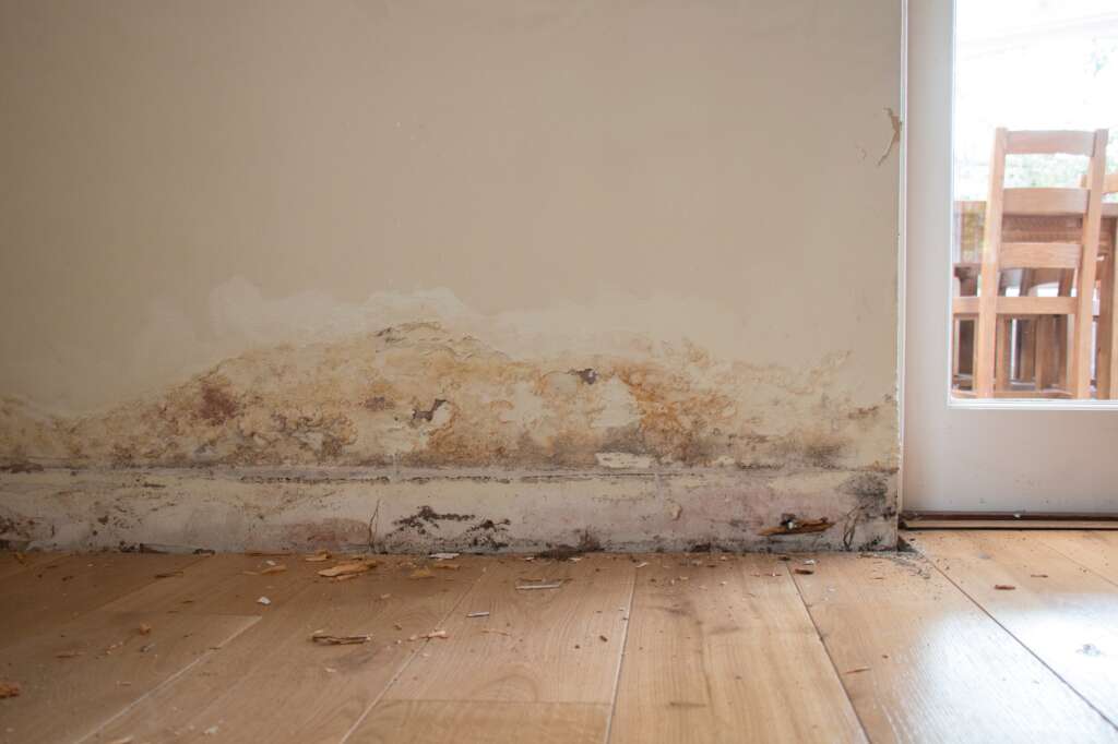 House damp